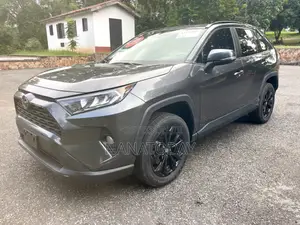 Toyota RAV4 XLE 2021 Gray