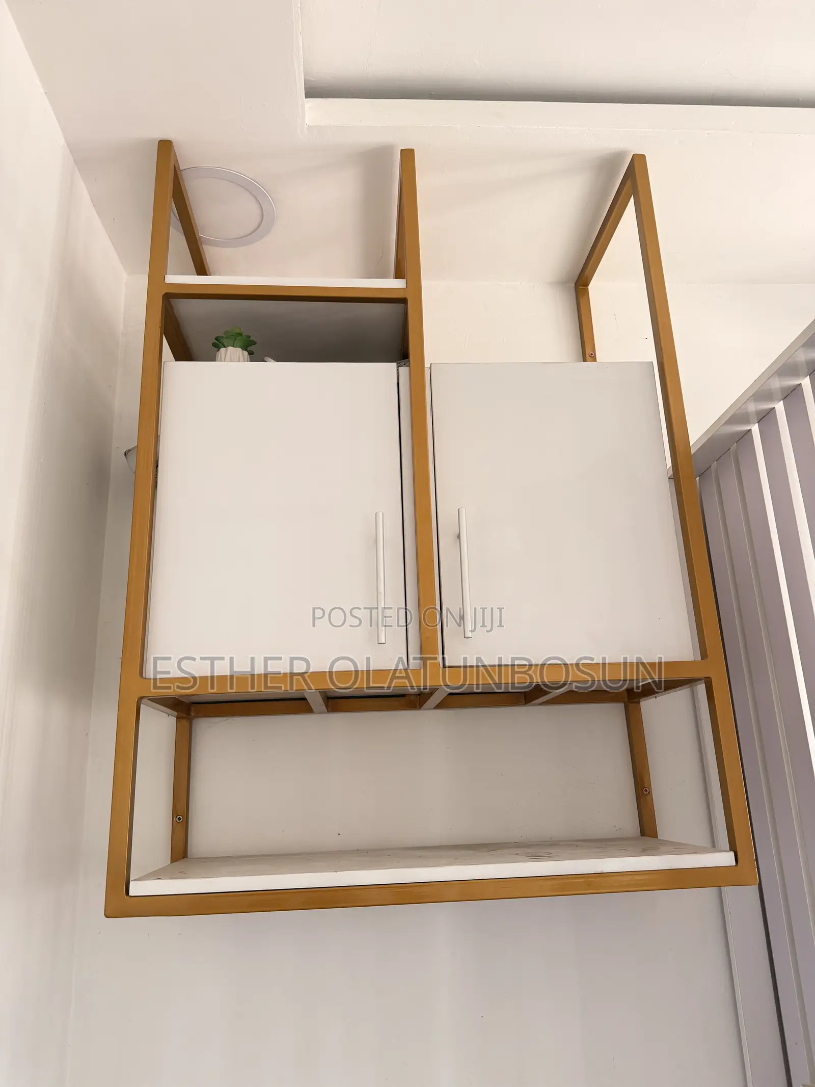 Cabinet / Shelve Storage