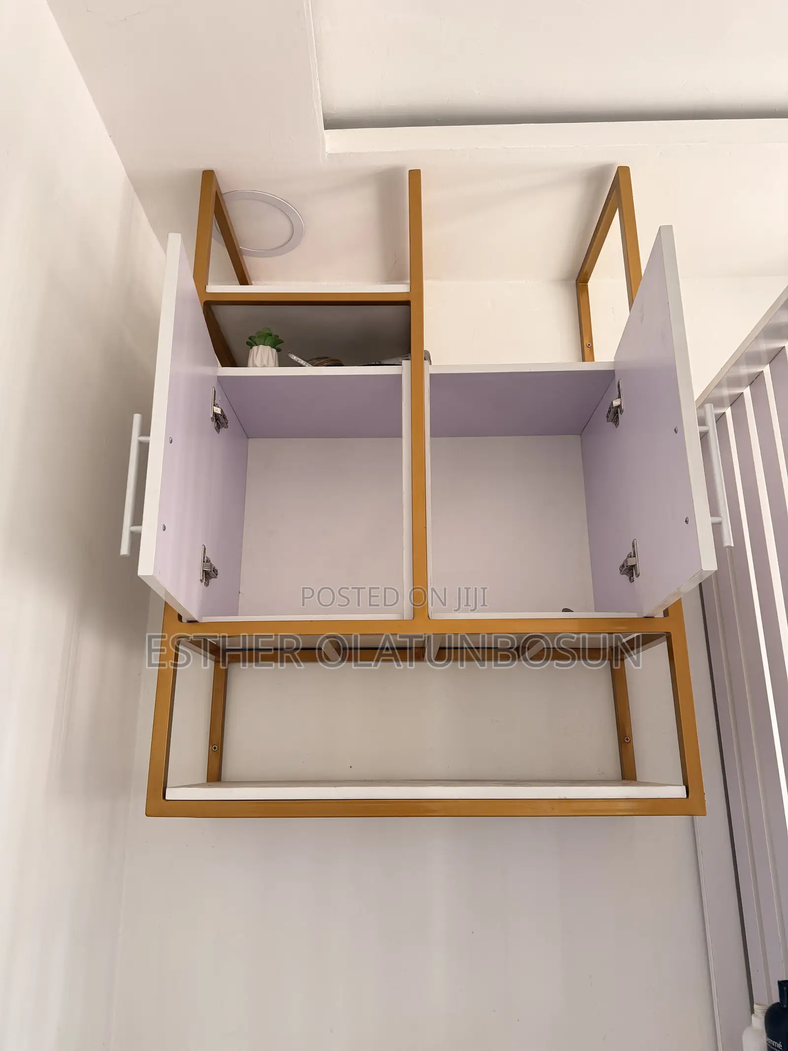 Cabinet / Shelve Storage
