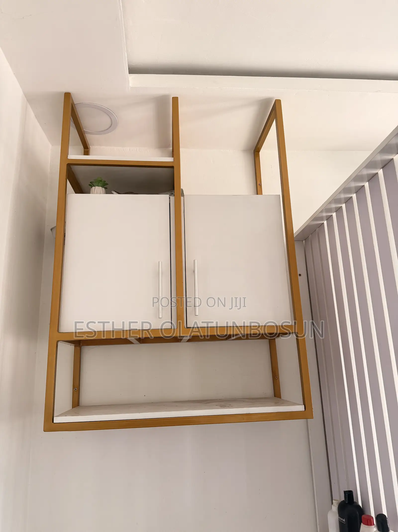 Cabinet / Shelve Storage