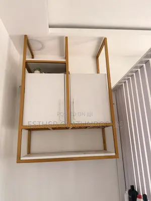 Cabinet / Shelve Storage