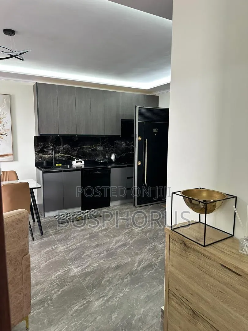 Furnished 2bdrm Apartment in Labone for rent