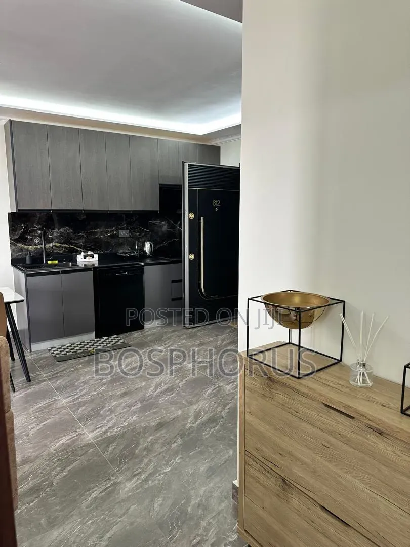 Furnished 2bdrm Apartment in Labone for rent