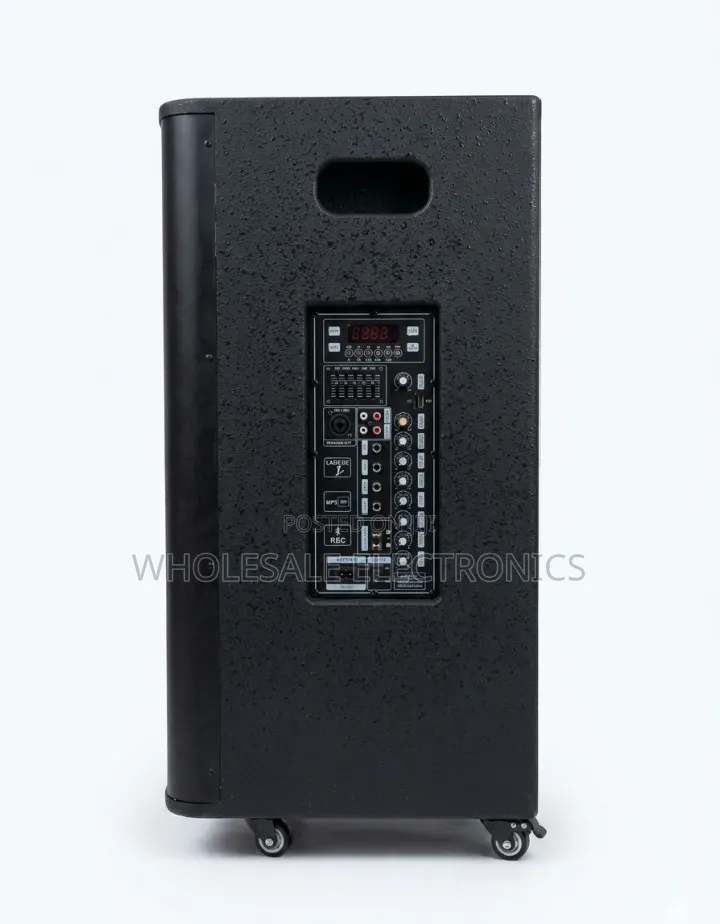 HE Rechargeable Trolley Speaker With Two Wireless Microphones