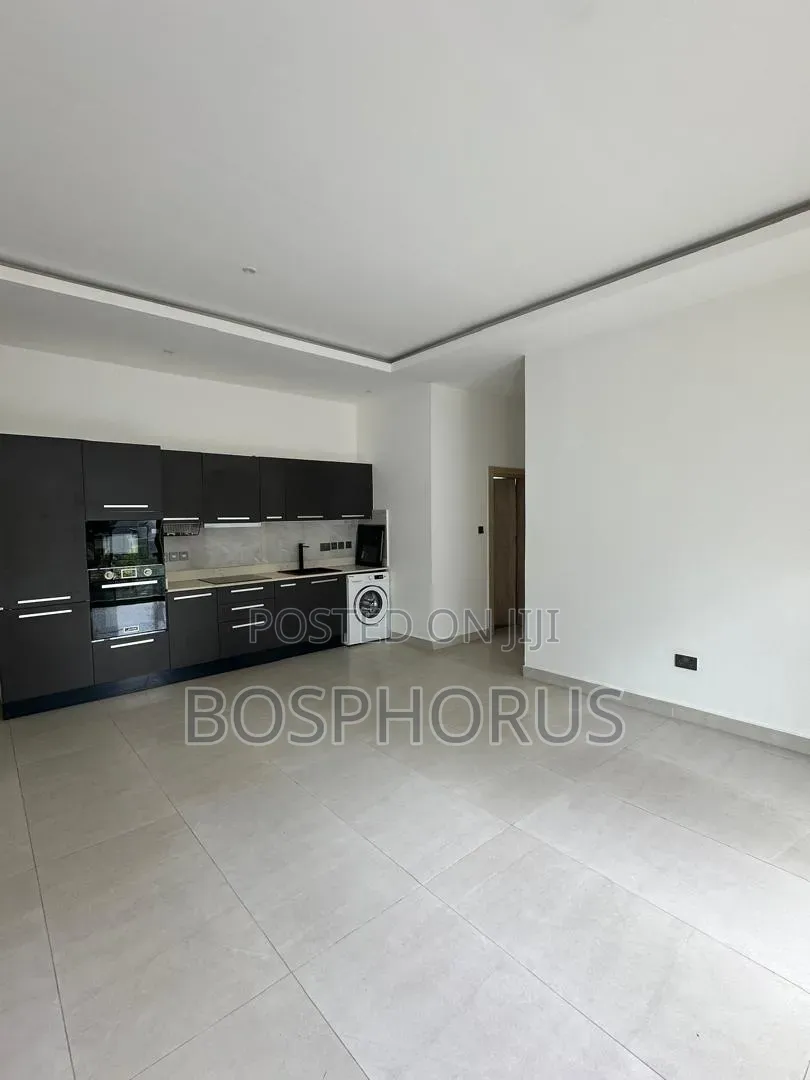 Furnished 2bdrm Apartment in Labone for rent