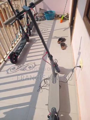 Electric Scooter