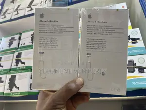 Original iPhone Charger