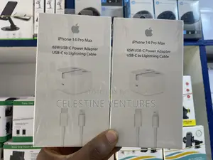 Original iPhone Charger