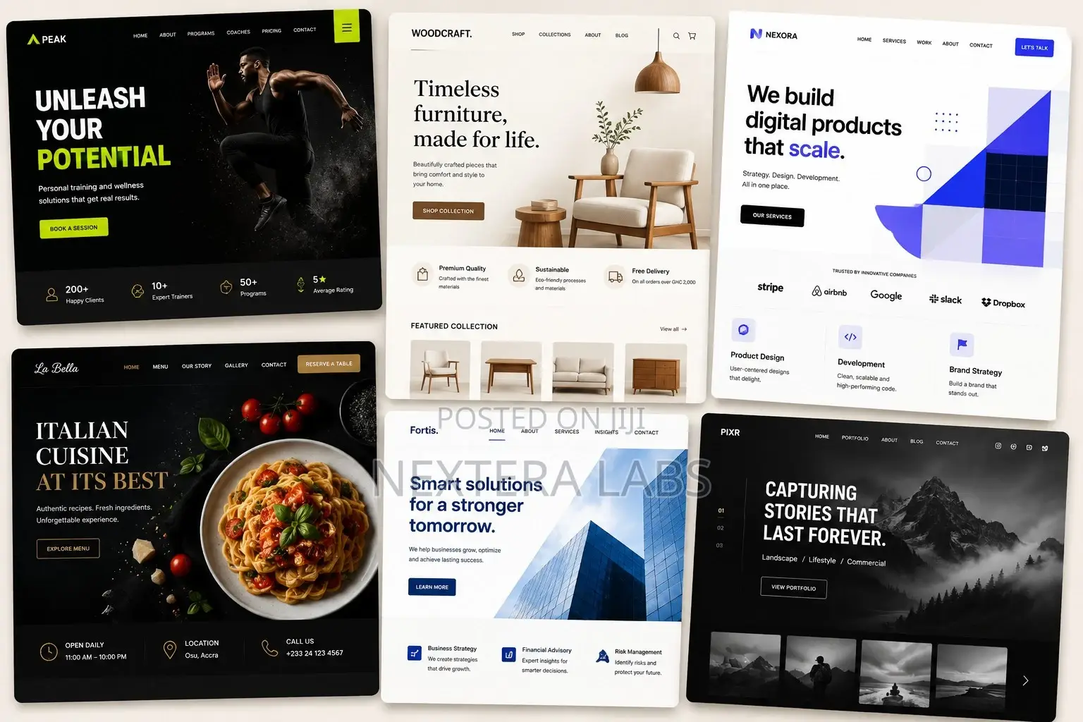 Business Website Development
