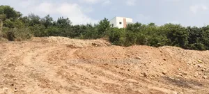 Half Plots of Land
