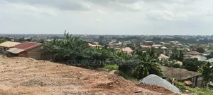 Half Plots of Land