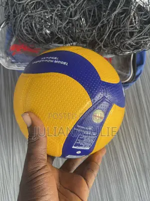 Original Mikasa Volleyball Plus Net Available at Cool Price
