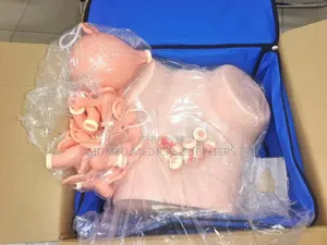 Gynaecological Training Stimulator