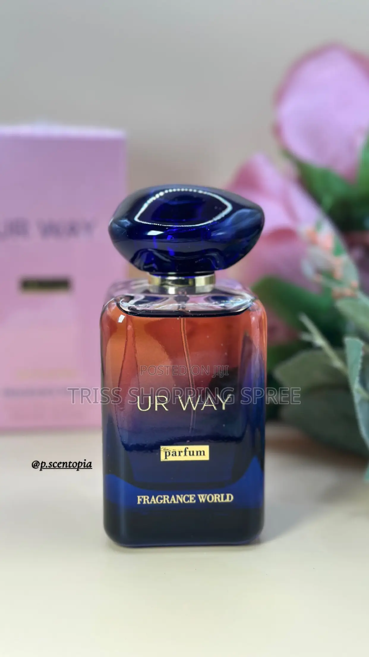  Premium Eau De Parfum | Men Women | Signature Scents