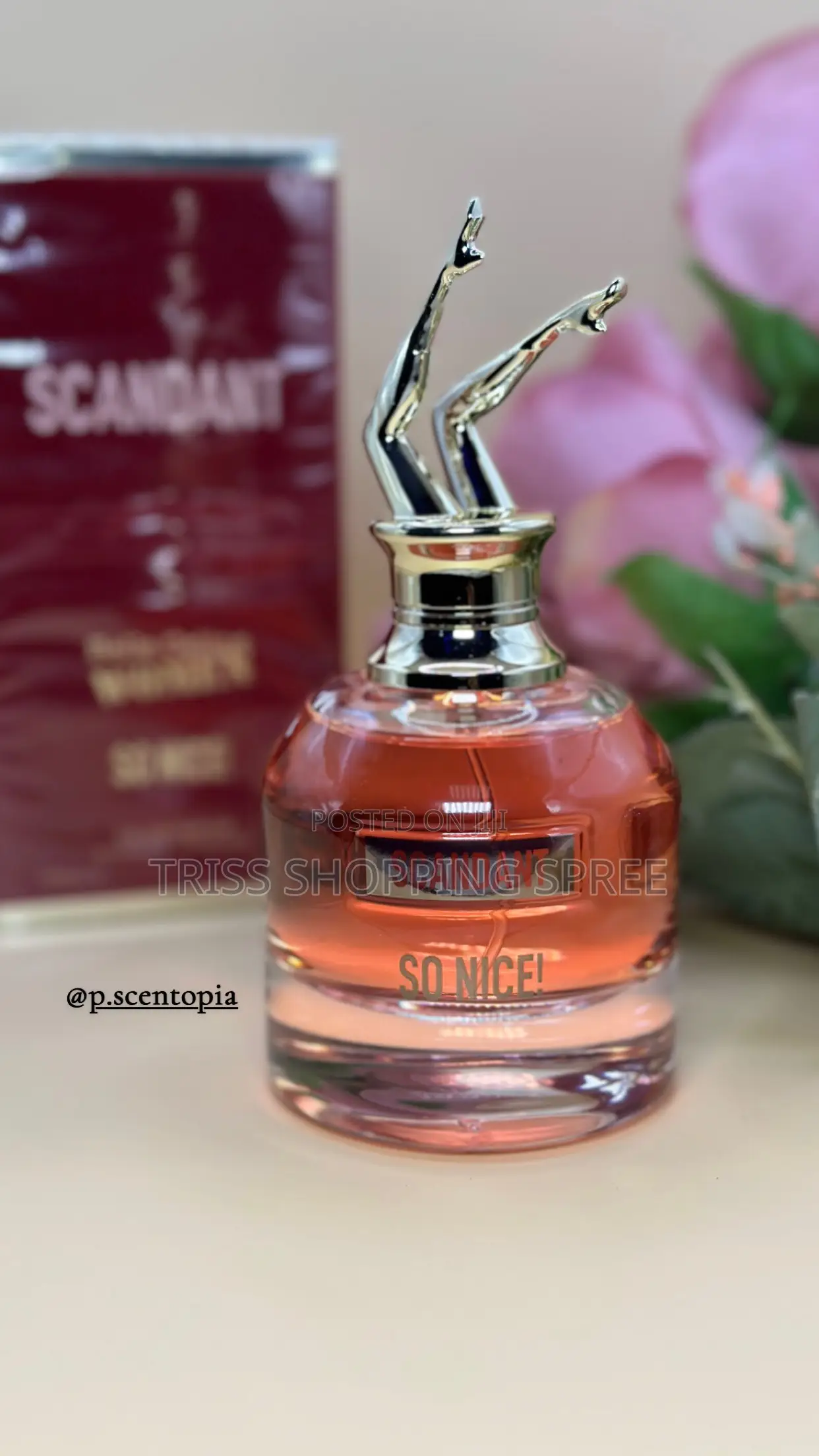  Premium Eau De Parfum | Men Women | Signature Scents