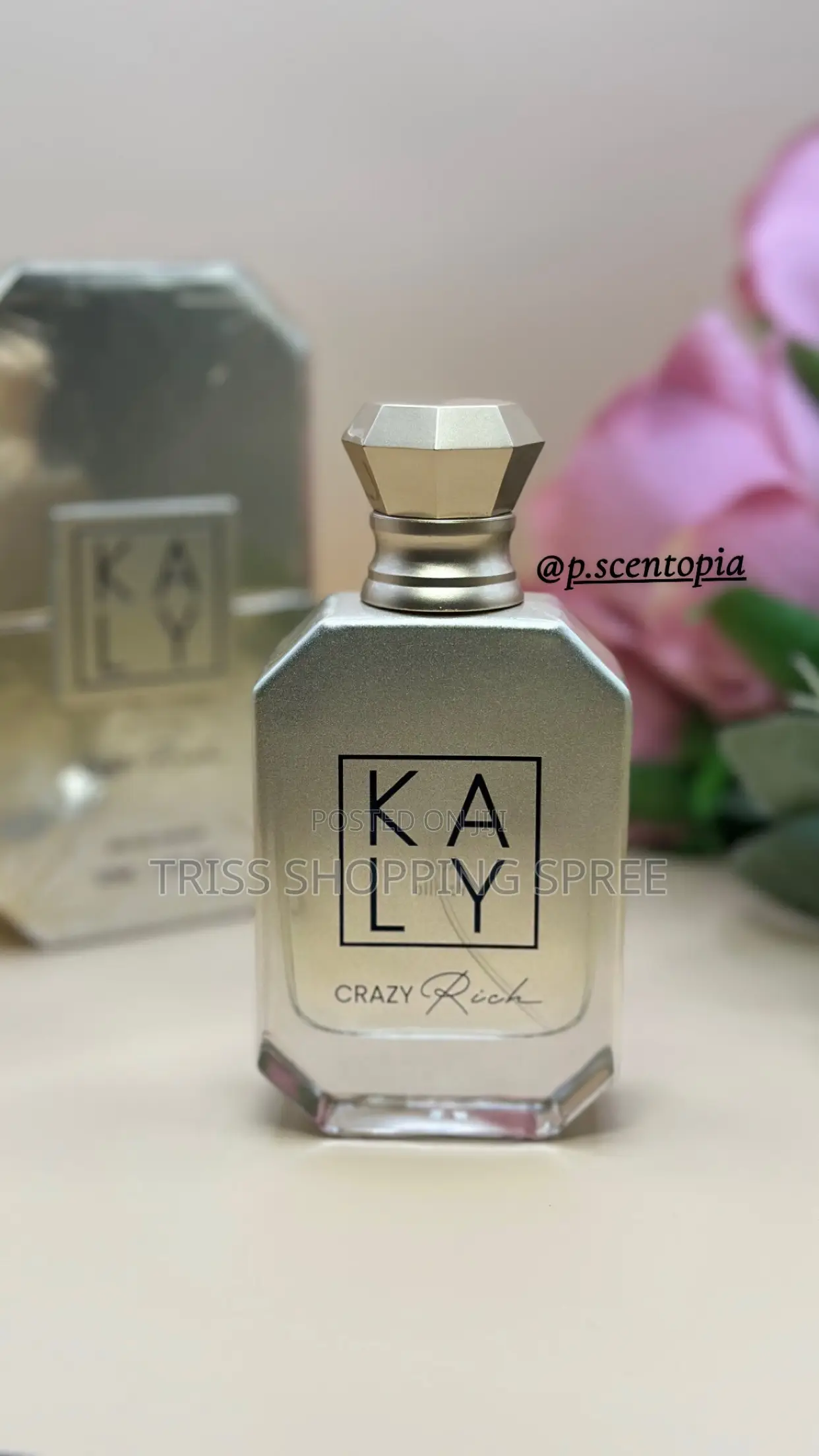  Premium Eau De Parfum | Men Women | Signature Scents