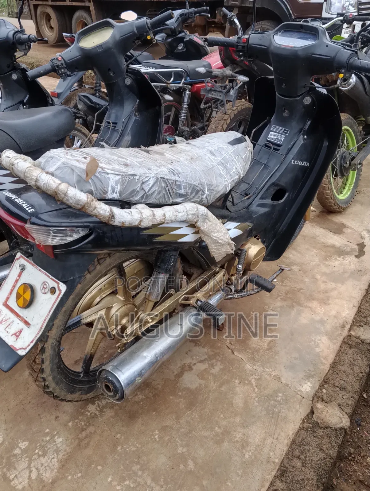 Luojia 110cc 2019 Black