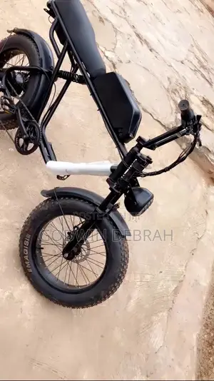 A Month Used E-Bike