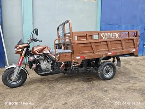 New Sonlink SL200ZH-SC 2026 Brown