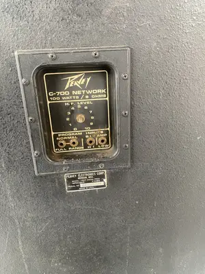 Peavey C-700 Network Professional PA Speaker – 100W 8Ω