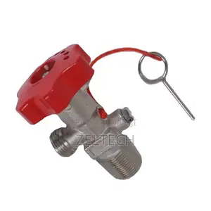 10kg CO2 Valve