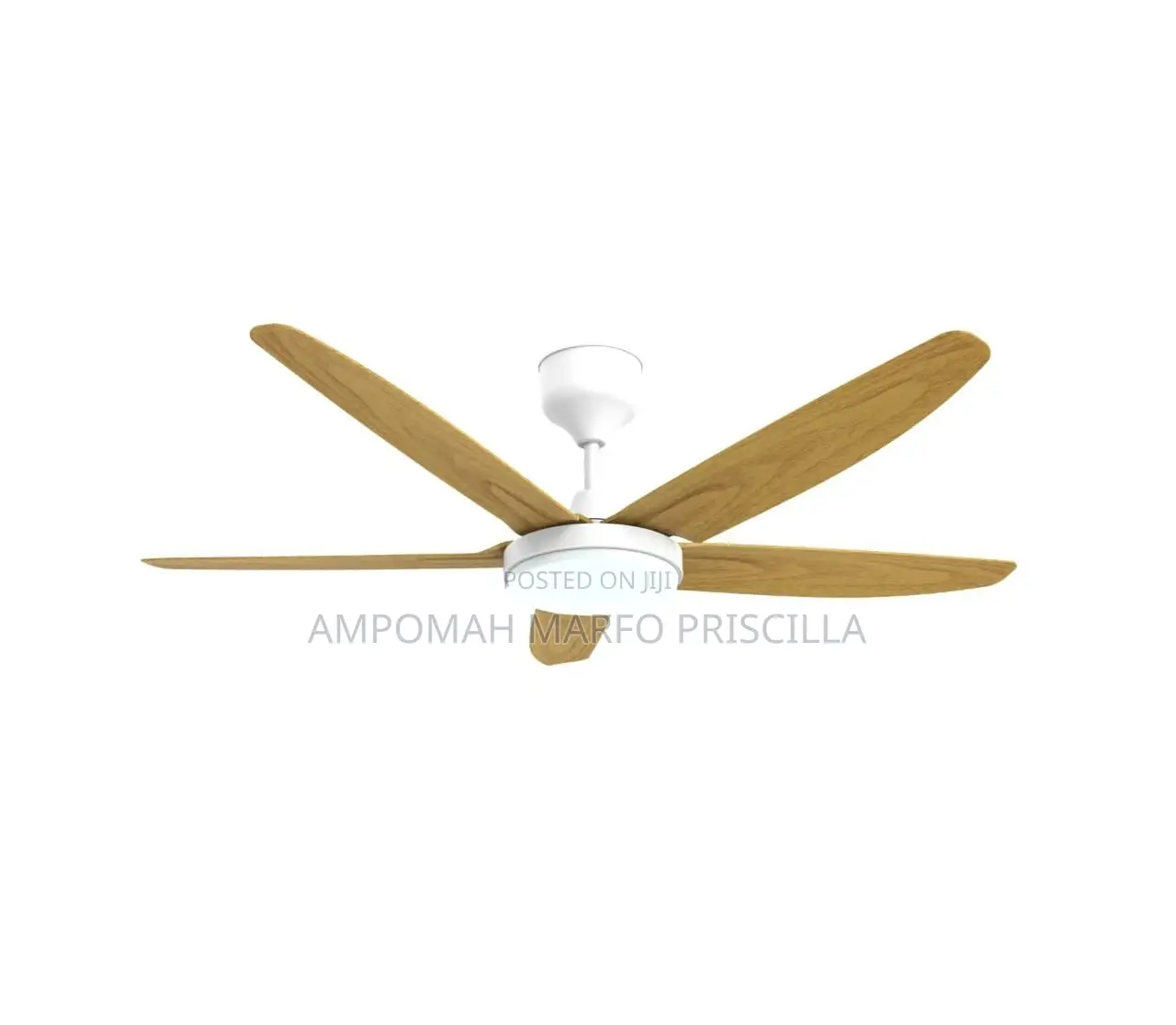 Ceiling Fan With Light