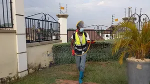 Metropolitan Pest Fumigation With Cleantex