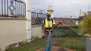 Metropolitan Pest Fumigation With Cleantex