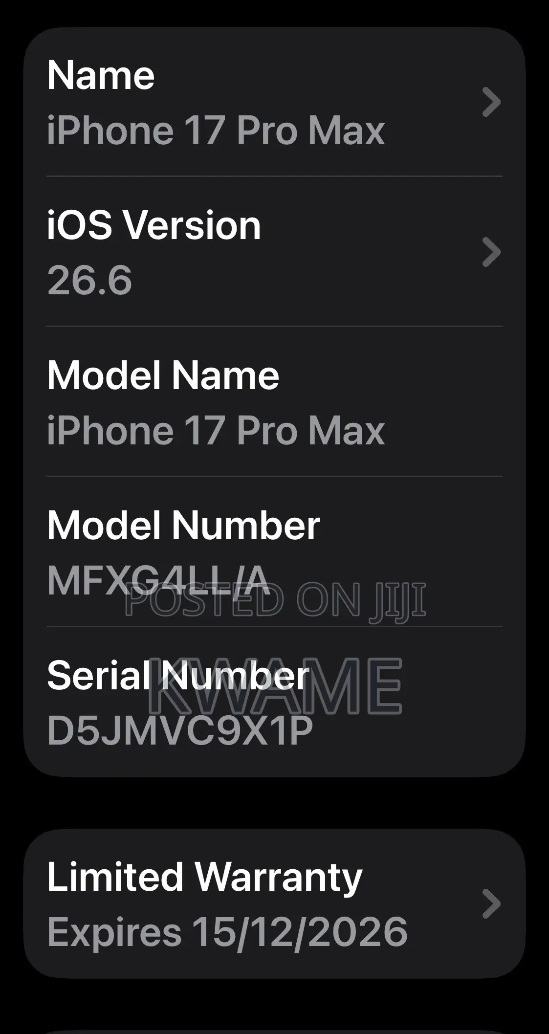 Mobile Phone 256 GB Silver