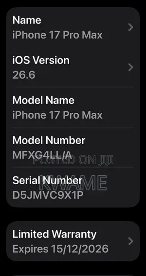 Mobile Phone 256 GB Silver