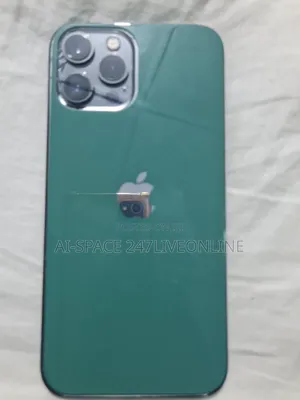 Apple iPhone 12 Pro Max 256 GB Gray