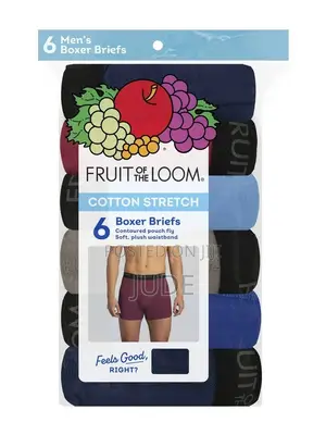 Fruit of the Loom (Briefs)