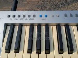 Evolution MK- 249z Midi/USB Controller