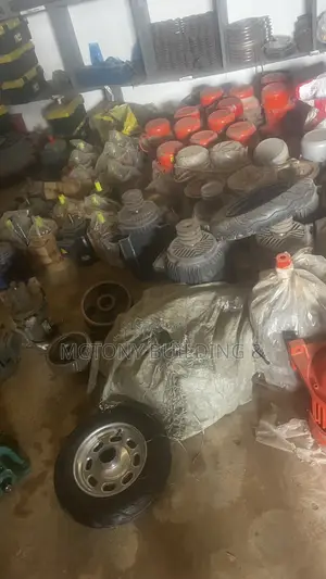 Vibrator Motor