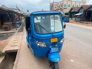 Tricycle 2025 Blue