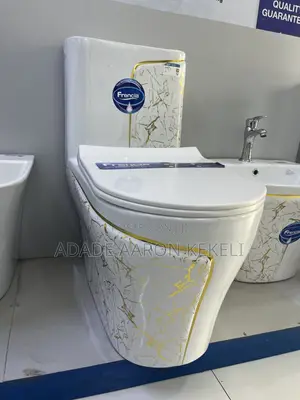 Frencia WC With Basin. Luxury White and Gold, Black and Gold Morden