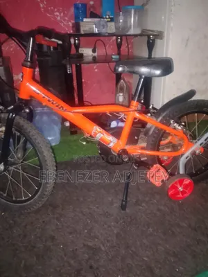 Muntin Bicycle