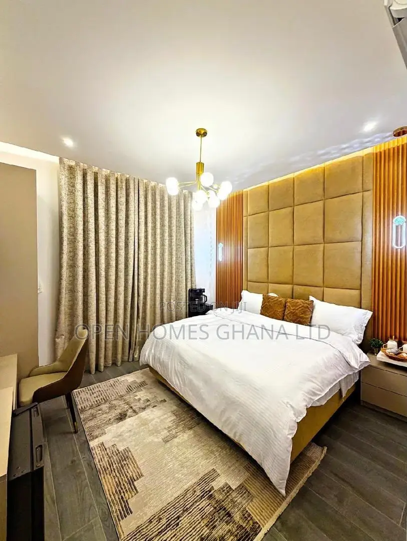 1 Bedroom Furnished Short-Let Apartment at Dzorwulu