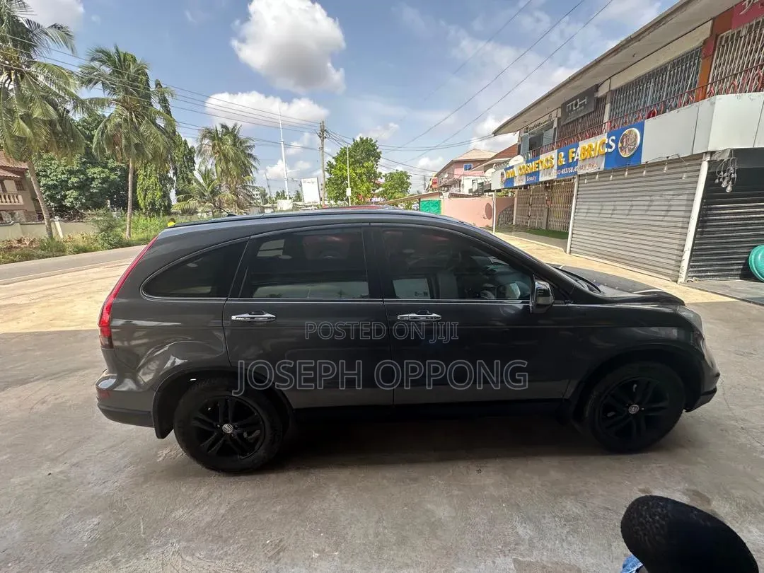 Car Rental