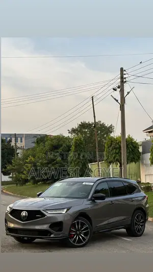 Acura MDX Type S w/Advance Package 2024 Gray