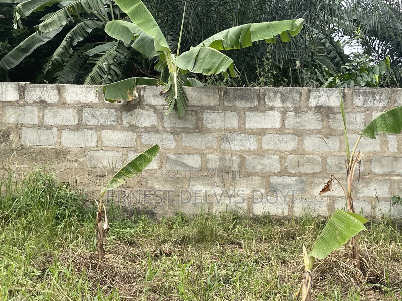 1 Acre of Titled for Sale Ghc600K Per Plot