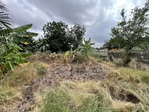 1 Acre of Titled for Sale Ghc600K Per Plot