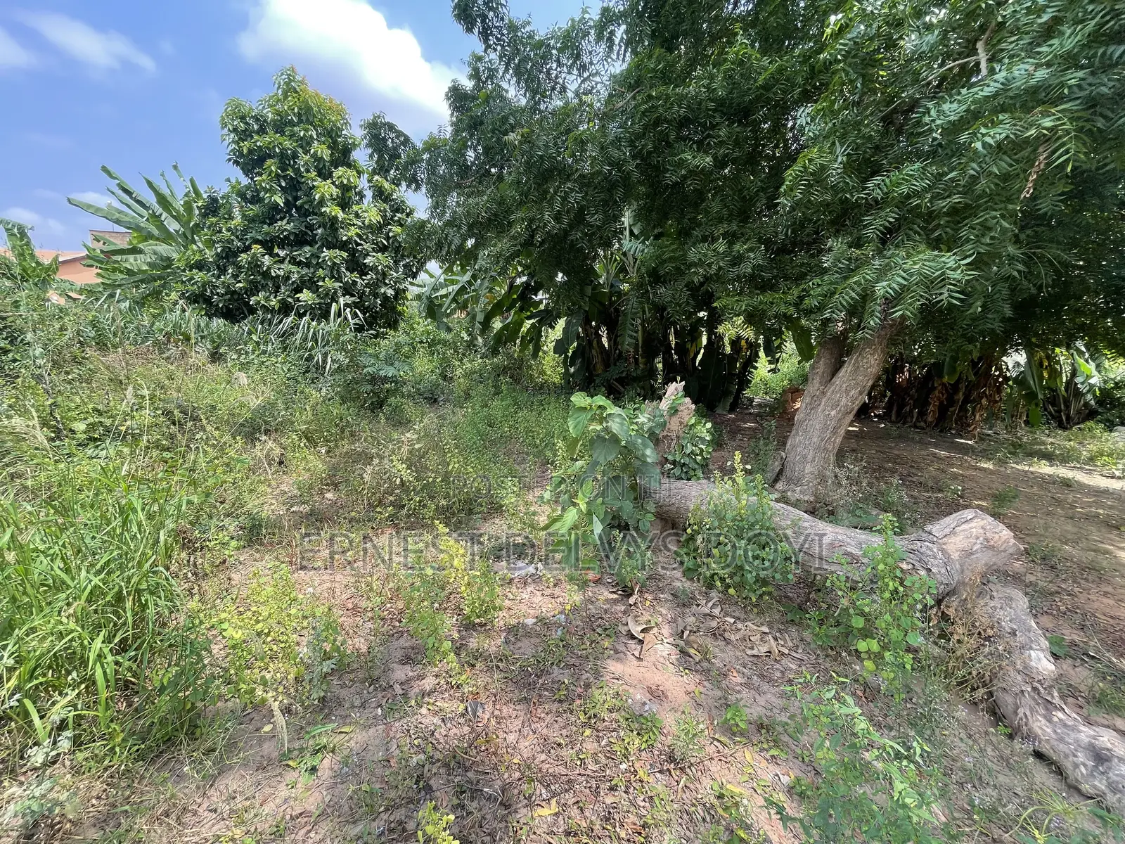 1 Acre of Titled for Sale Ghc600K Per Plot