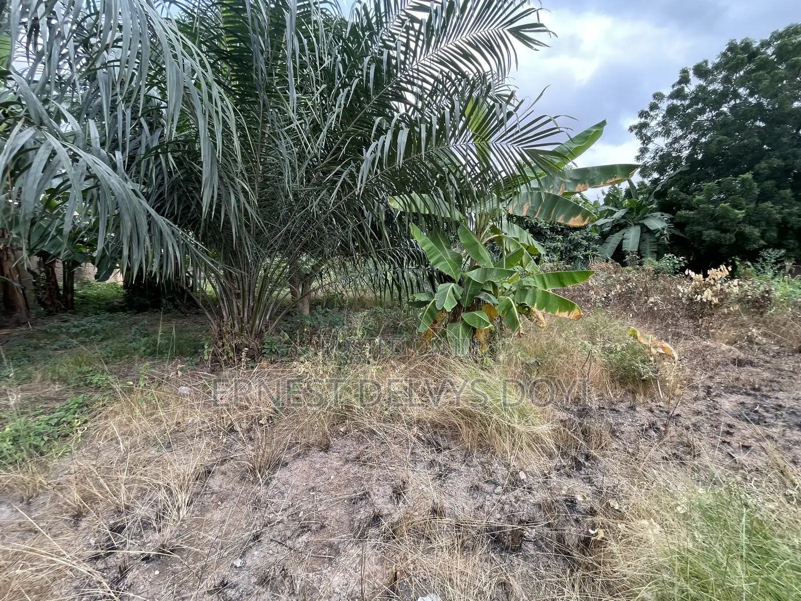1 Acre of Titled for Sale Ghc600K Per Plot