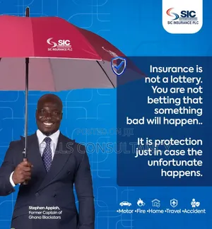 Insurance Agent
