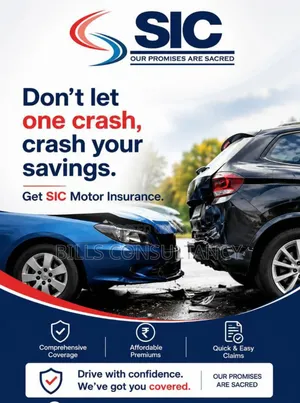 Insurance Agent