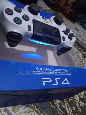 Ps4 Controller (Pad