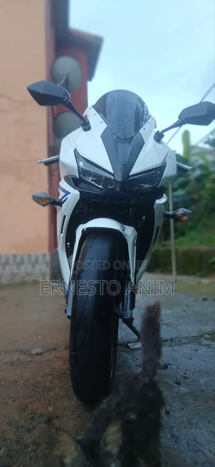 Honda CBR 2021 White