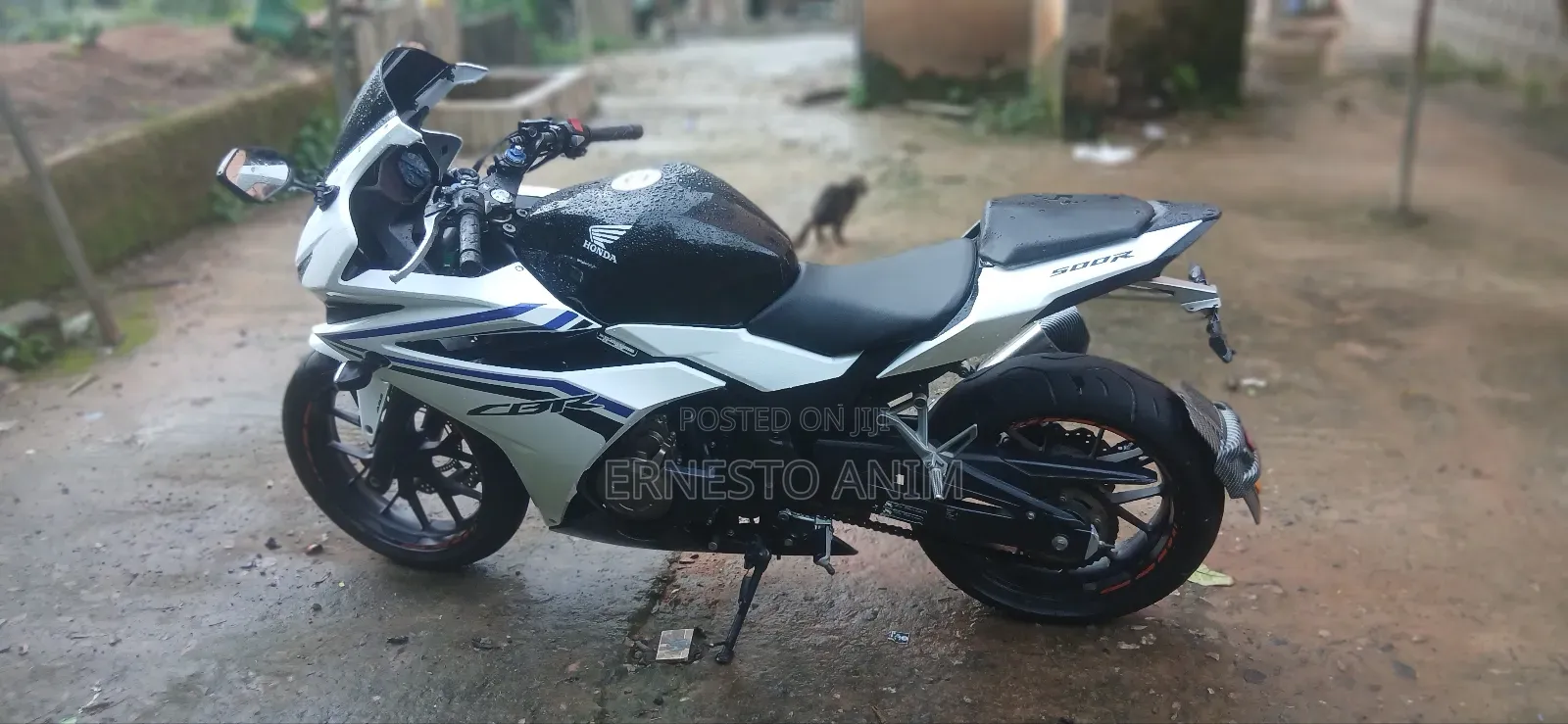 Honda CBR 2021 White