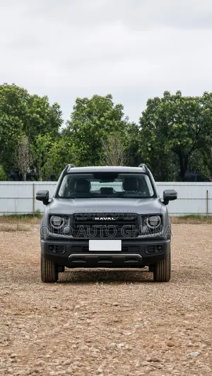 Haval Big Dog 2025 Gray